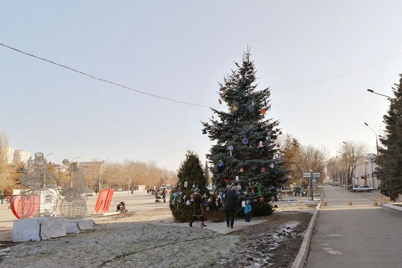 Праздничная ель около здания администрации Энгельсского...